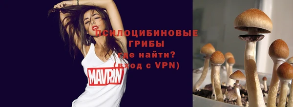 мяу мяу кристалл Бикин