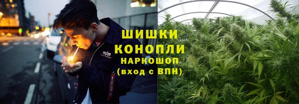 PSILOCYBIN Болохово