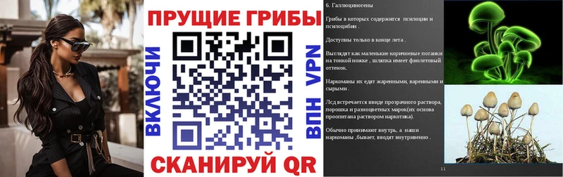 Псилоцибиновые грибы GOLDEN TEACHER  Балабаново 