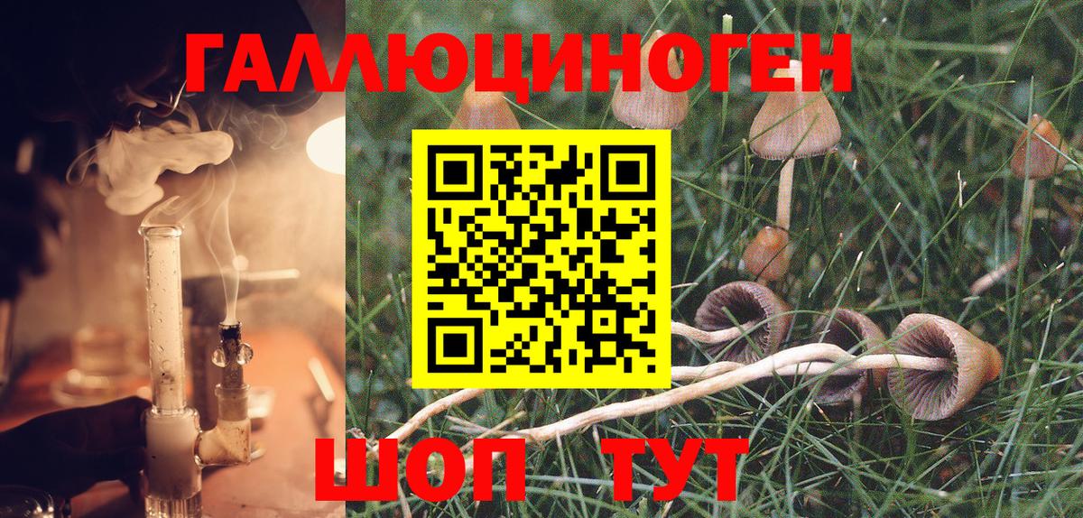 купить  цена  Псилоцибиновые грибы Magic Shrooms  Вход с VPN  Балабаново  Галлюциногенные грибы Cubensis 
